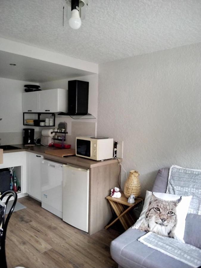 Saint Lary Ski, Rando, Thermes, Balades Et Repos ! Apartment Exterior photo